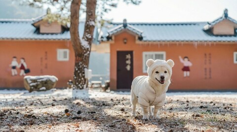 가평 아이리스 촌캉스펜션
