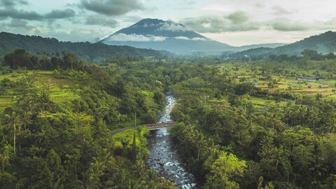 다르마다 에코 리조트