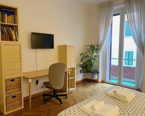 일 플랑크톤 콜로세오