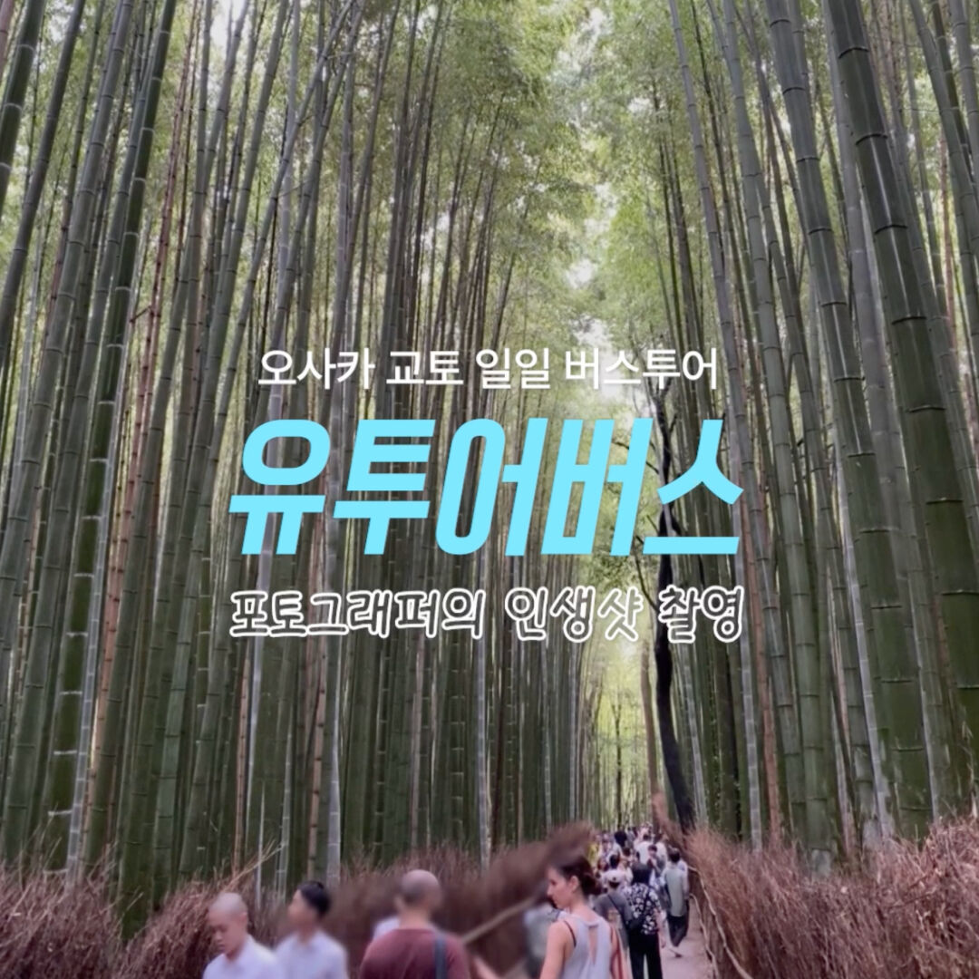 오사카 출발 교토 1일 버스투어 프로사진 촬영 아라시야마