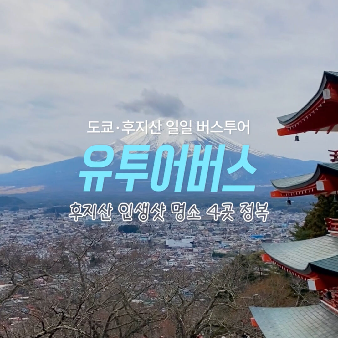 한국어 가이드 도쿄 후지산 인생샷 핵심 4코스 1일 버스투어