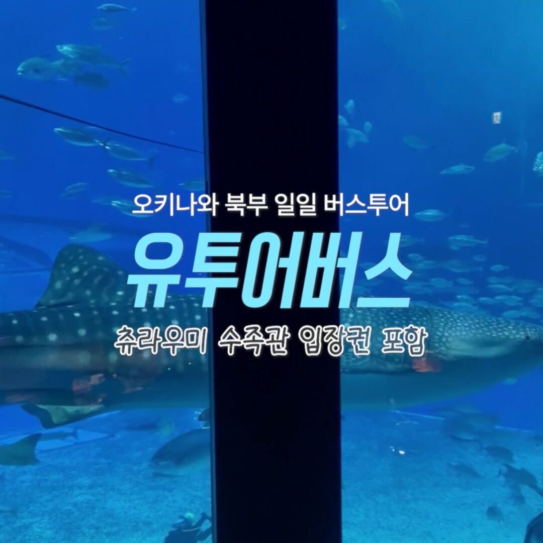 오키나와 북부 1일 버스투어 츄라우미 수족관 티켓 포함