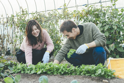 product-thumbnail-2