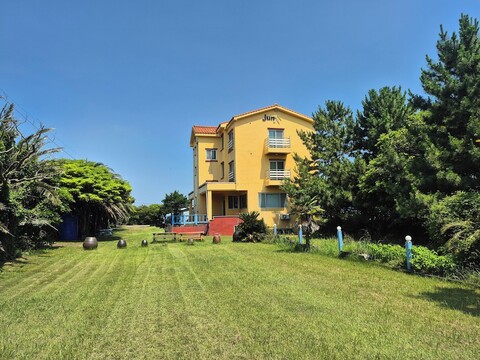 준 하우스 - 호스텔