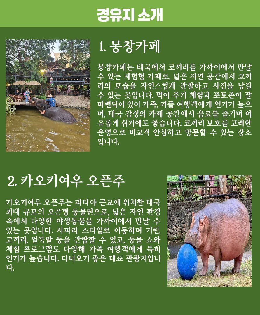 방콕-파타야 픽업 경유지 1곳(몽창카페 또는 카오키여우 오픈주) 상세 이미지 2