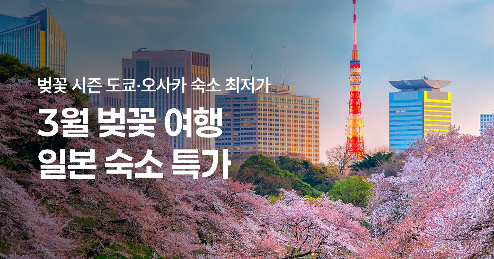 26.02 도쿄 & 오사카 벚꽃 시즌 인기 숙소 특가 프로모션