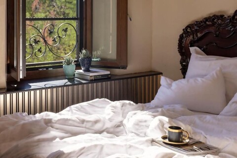 페르비카시아 럭스 스튜디오