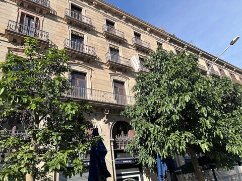 호스탈 누에보 콜론