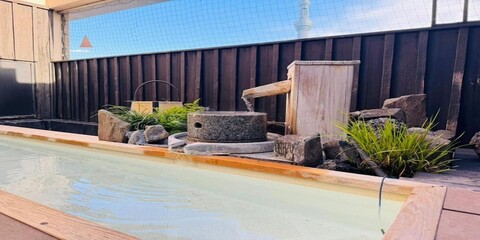 도미 인 익스프레스 아사쿠사 핫 스프링