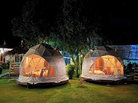 라이온 카페 리조트