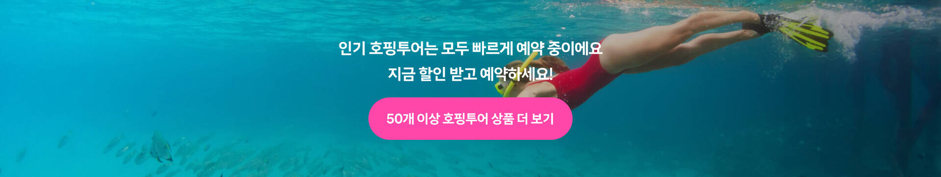 호핑투어 하단.jpg
