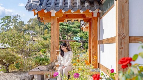 경주 아담원 한옥독채 펜션