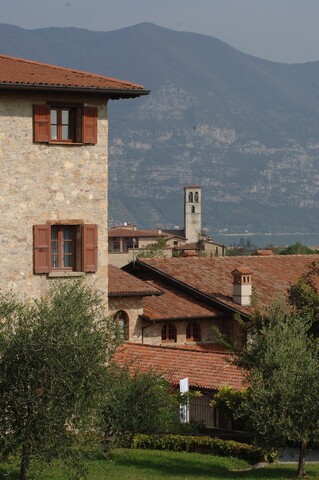 릴레 프란차코르타