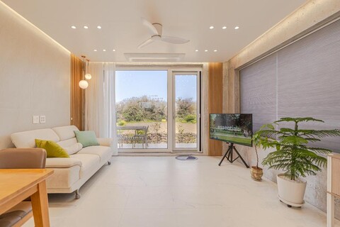 스테이도채비꽃