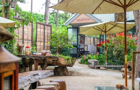 스톱 앤 고 부티크 호텔 신스 1982