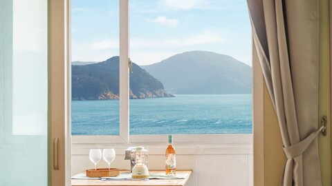 거제 까치와산토리나 스파 애견동반 펜션