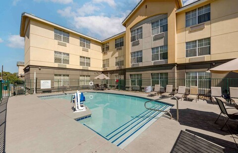 메인스테이 스위트 라스베이거스 플라밍고