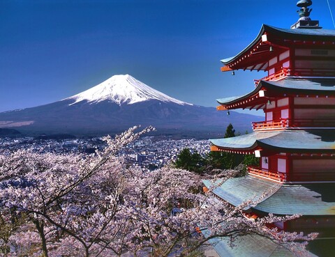 호텔 마이스테이스 후지  온센 리조트