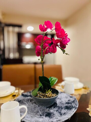 더 오리아 스위트