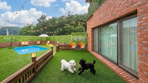 태안 위드독 독채 애견 풀빌라