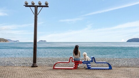 거제 블루베리 애견동반 펜션