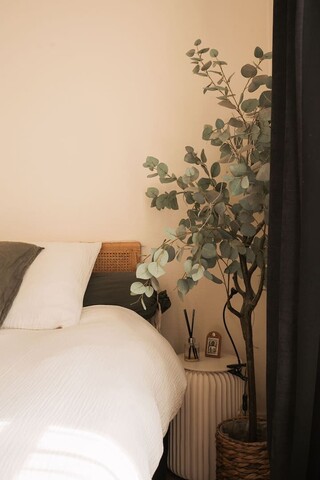 파리 5구 라탱 지구 감성 아파트 