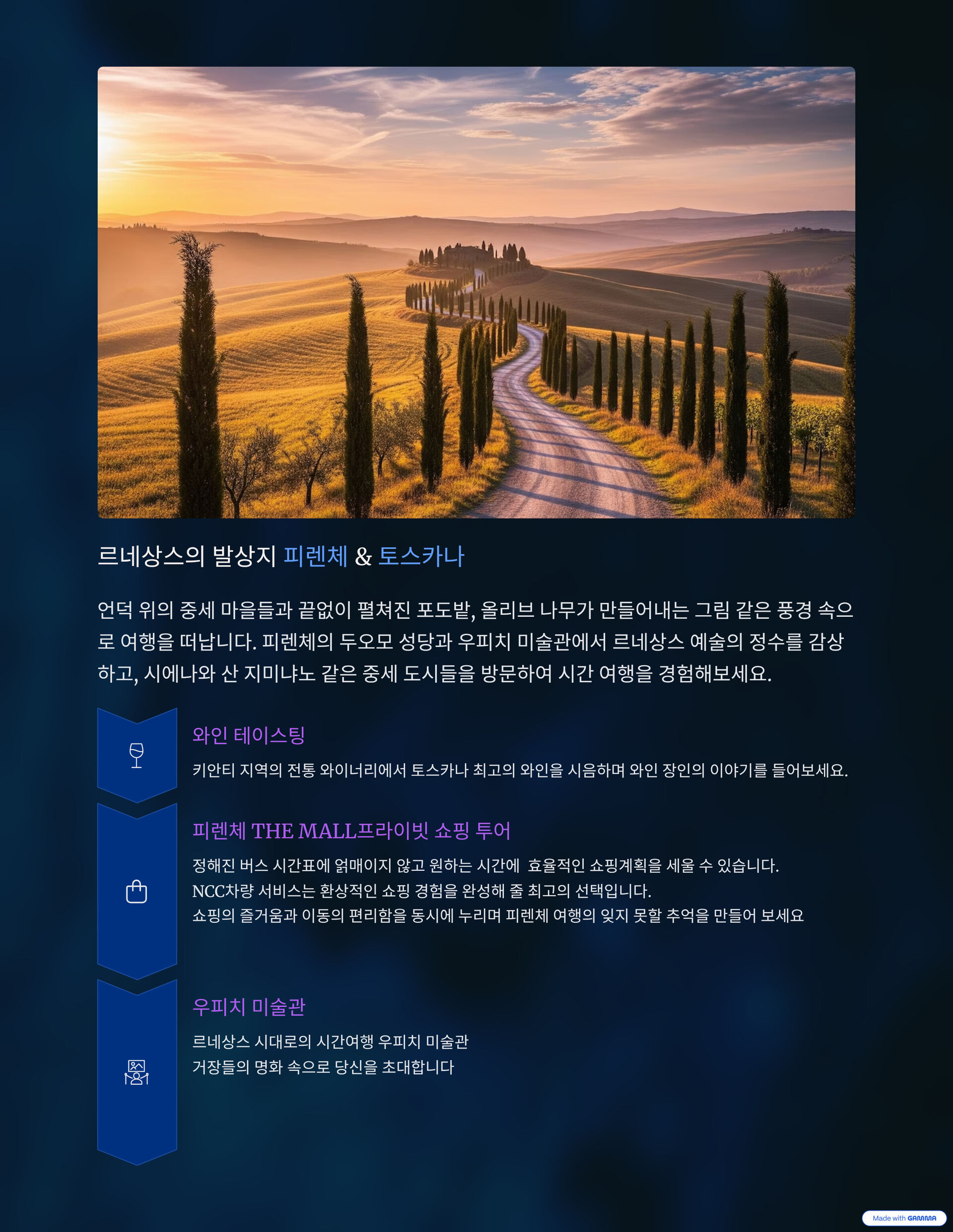 우리끼리만 편하게 [VIP 단독] 이탈리아 NCC 차량서비스 -운전기사 포함 차량서비스  상세 이미지 5