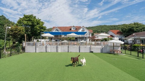 태안 에버그린 애견펜션