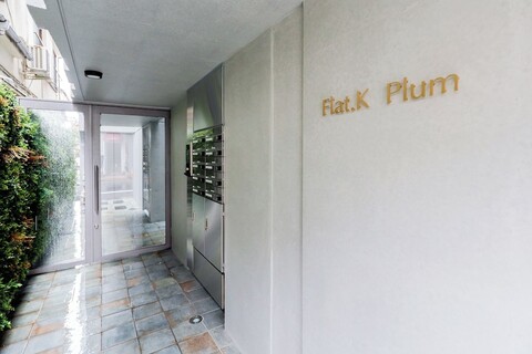 플랫 K 플럼 우메가오카 바이 트라노바