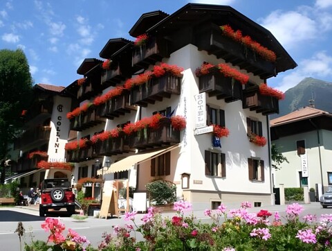 Hotel Collini