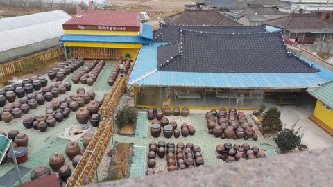 해바라기 스테이