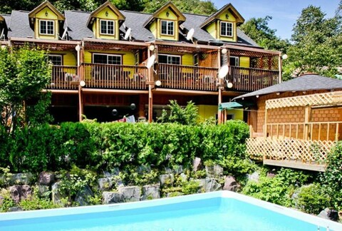 Baenaegol Dandelion Pension