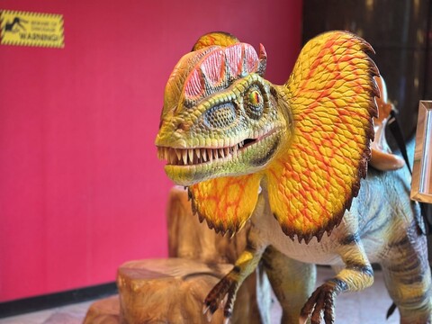 하이원 홀리데이 호텔