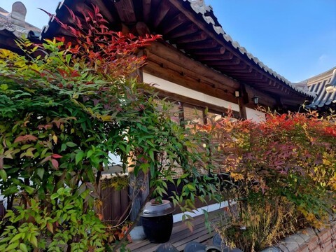 스테이 선우가 전주