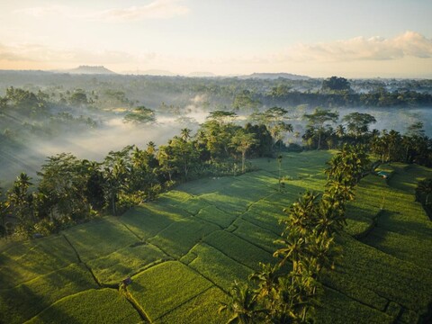 우붓 마스 글램핑 럭셔리 텐트