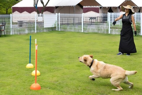 Seosan Pet &amp;amp;amp;amp;amp;amp;amp;amp;amp;amp;amp; Tree Dog Glamping (Individual Barbecue)
