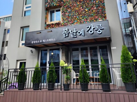 강릉게스트하우스 봄날에강릉