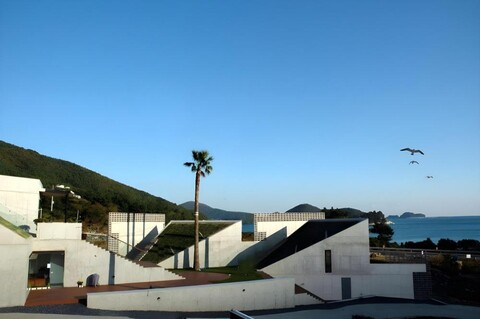 트로피칼드림 스파리조트