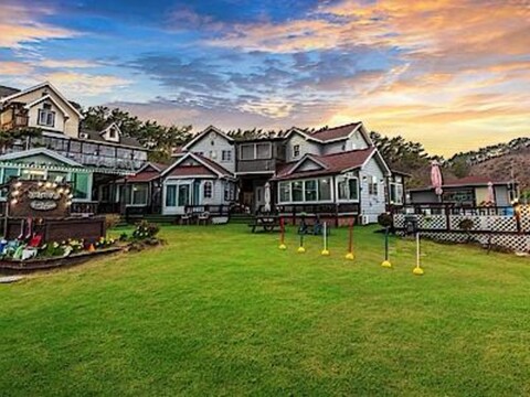 Full of Sun Dog Pension