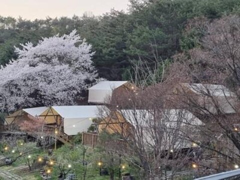 Cheongpung Worldness Glamping