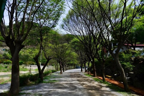 Riverside Forest Pension &amp;amp;amp;amp;amp;amp;amp;amp;amp; Camping