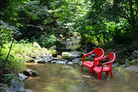 숲속 다람쥐 펜션