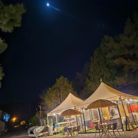 안면도 수수꽃다리 펜션