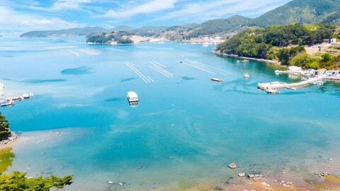 통영 보통의날들 펜션