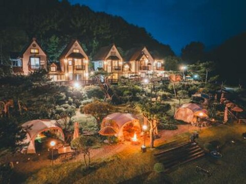 van gogh and sunflowers