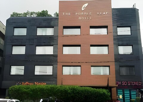 더 퍼플 리프 호텔