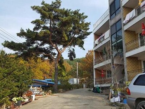 Pine Hwangtoville B&B