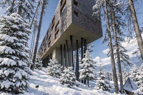 마이 아르보르 - 어덜츠 온리