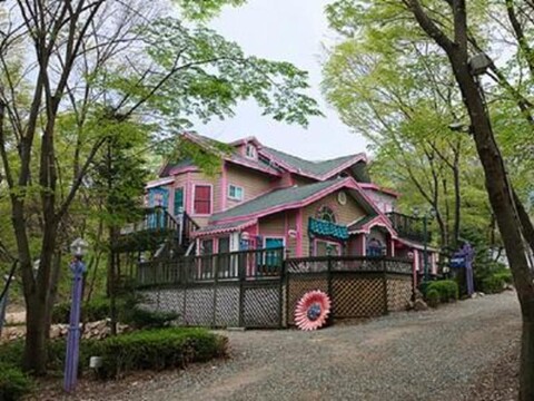 Green Pension in Dreams