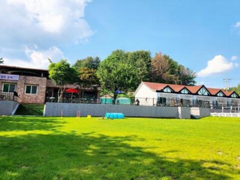 flower road with dogs